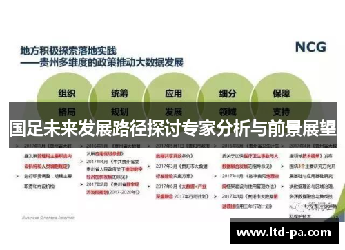 国足未来发展路径探讨专家分析与前景展望
