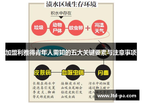 加盟利雅得青年人需知的五大关键要素与注意事项