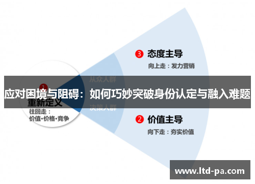 应对困境与阻碍：如何巧妙突破身份认定与融入难题