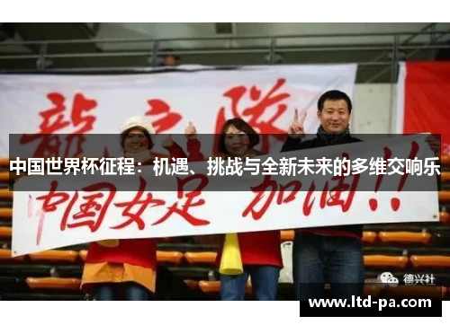 中国世界杯征程：机遇、挑战与全新未来的多维交响乐