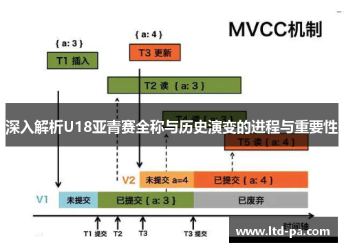 深入解析U18亚青赛全称与历史演变的进程与重要性