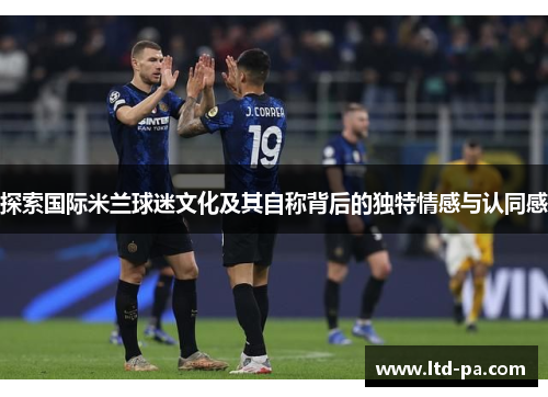 探索国际米兰球迷文化及其自称背后的独特情感与认同感