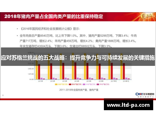 应对苏格兰挑战的五大战略：提升竞争力与可持续发展的关键措施