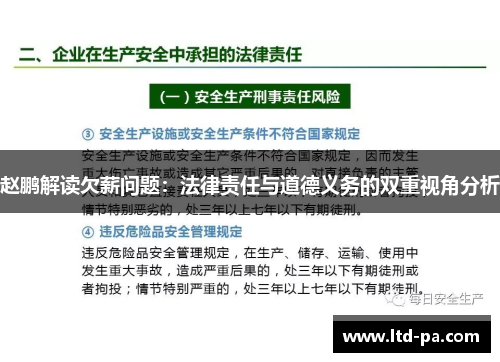 赵鹏解读欠薪问题：法律责任与道德义务的双重视角分析