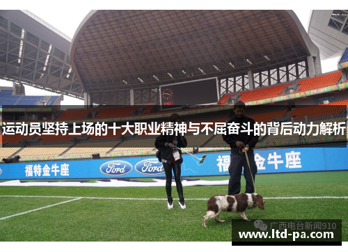 运动员坚持上场的十大职业精神与不屈奋斗的背后动力解析