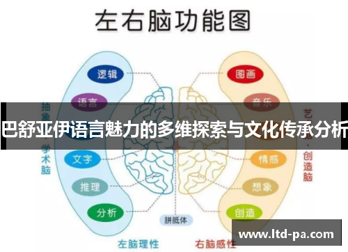 巴舒亚伊语言魅力的多维探索与文化传承分析