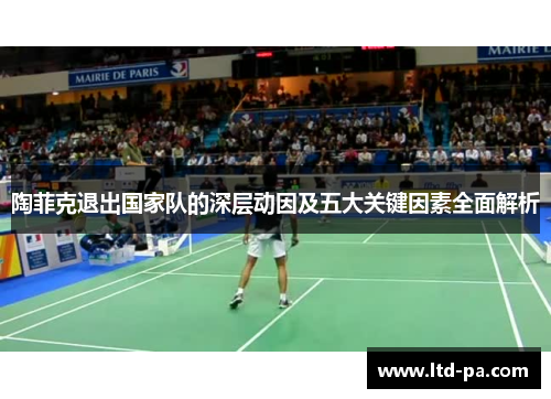 陶菲克退出国家队的深层动因及五大关键因素全面解析