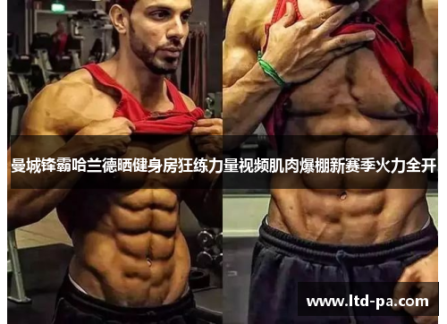 曼城锋霸哈兰德晒健身房狂练力量视频肌肉爆棚新赛季火力全开 曼城锋霸哈兰德晒健身房狂练力量视频肌肉爆棚新赛季火力全开
